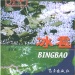 恩平市好玩的地方